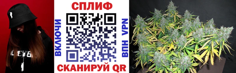 Марихуана Amnesia  Высоцк 
